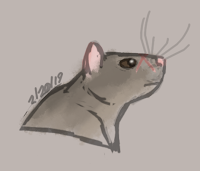 ripred the rat from the underland chronicles