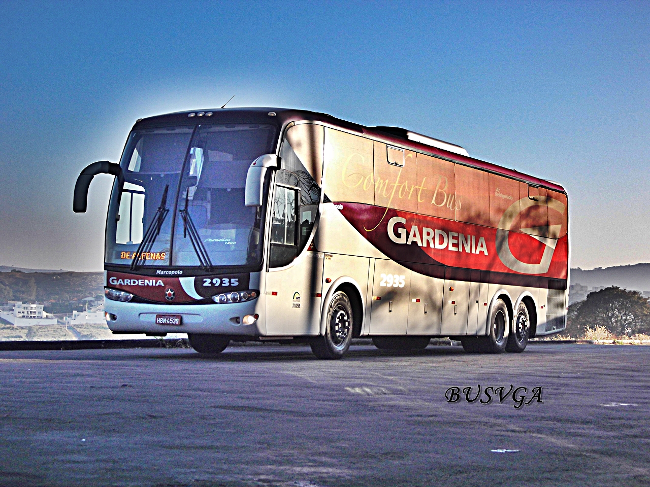 BUSVGA: GARDENIA 2935