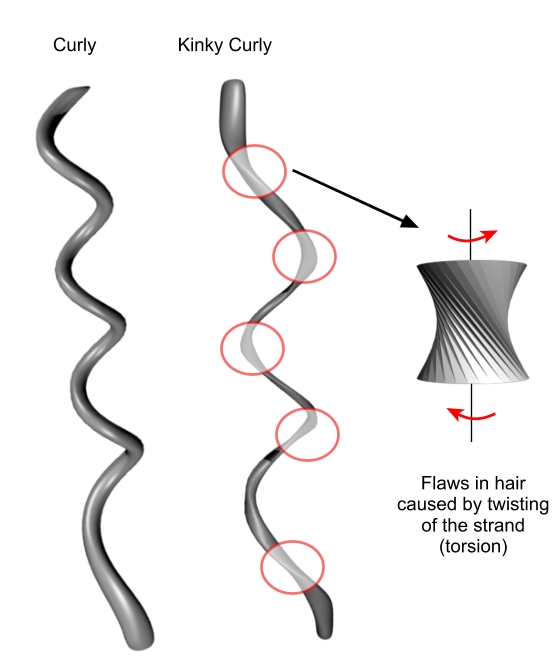 What Is Hair Density and Why Does It Matter  Hair by Brian  San  Francisco FiDi Union Square