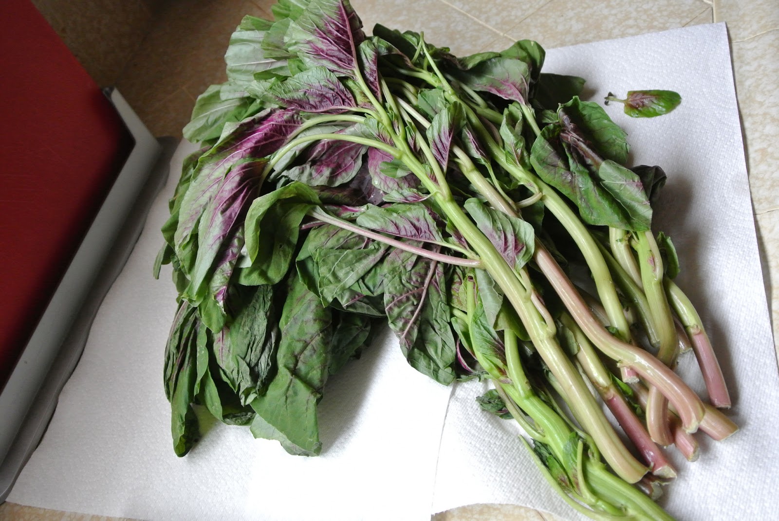Cooking Commons Vegetables of the World Chinese Chinese Red Spinach