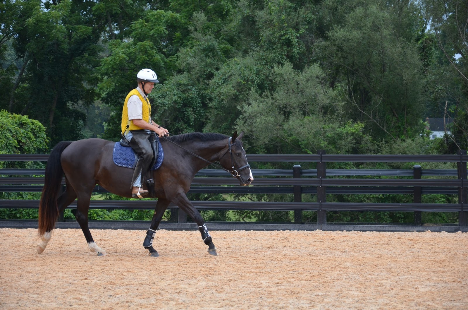 Firemist Farm News Sagan Goes Under Saddle