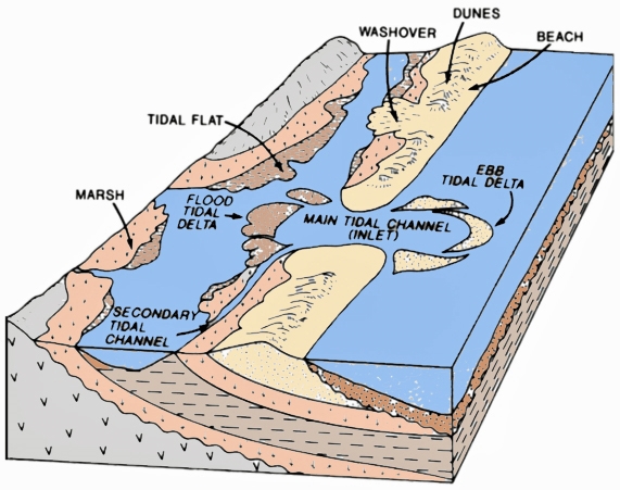 Barrier%2Bisland%2Bsystem%2Bcolored.jpg