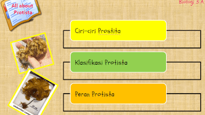 Powerpoint Biologi Sub Tema Protista
