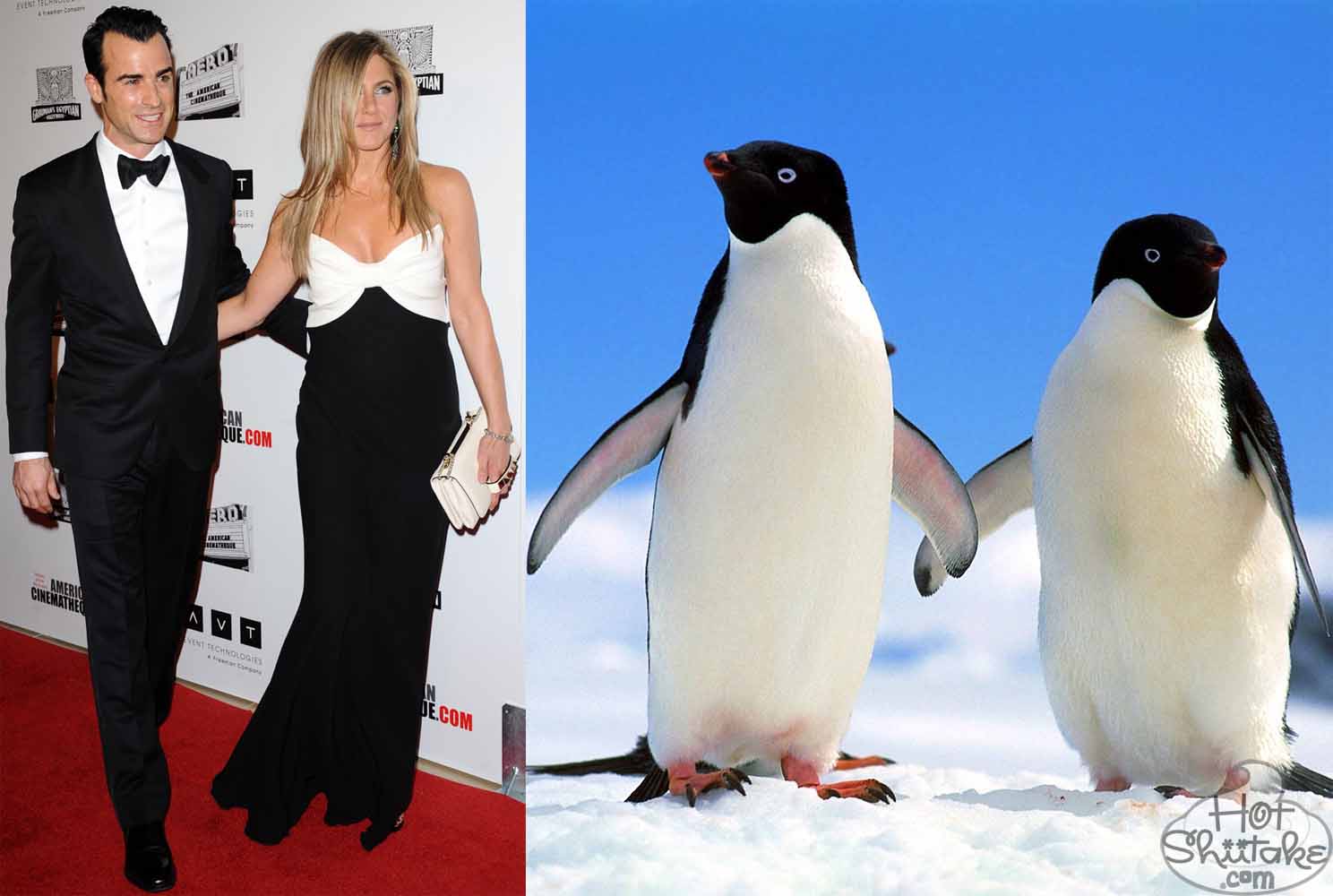 http://4.bp.blogspot.com/-TKUsJN3w1Ac/UKhRqMh4HXI/AAAAAAAABYI/gV6KHYJrEUU/s1600/justin-theroux-jennifer-aniston-penguin-couple-american-cinematheque-awards-2012.jpg