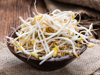 The Amazing Of Health Benefits Raw Bean Sprouts For Women Men And Children - Healthy T1ps The Amazing Of Health Benefits Raw Bean Sprouts For Women Men And Children - Healthy T1ps