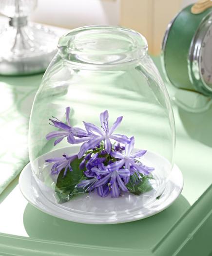 Under glass