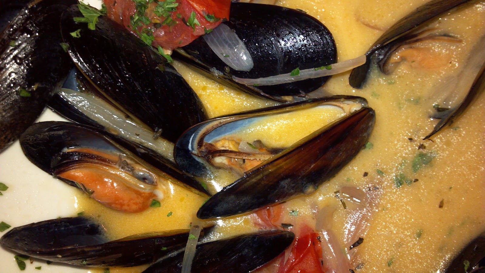 Albany Dish DOING DISHES The Mussels Series, Part I of V Garden