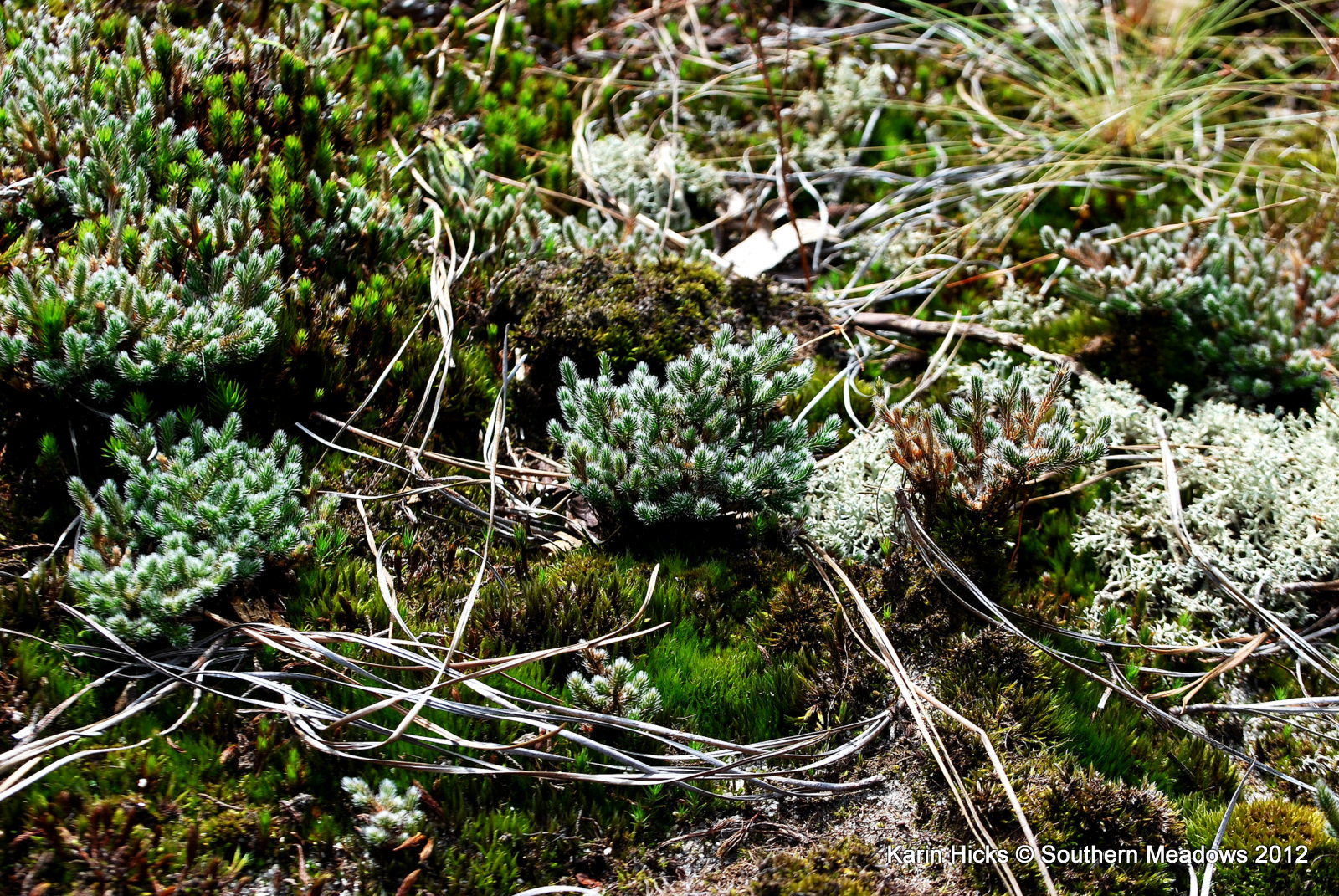 Exploring a Granite Outcrop