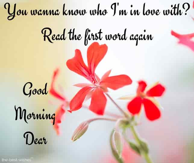 Best Good Morning My Dear Quote in the world Check it out now | quotesbest2