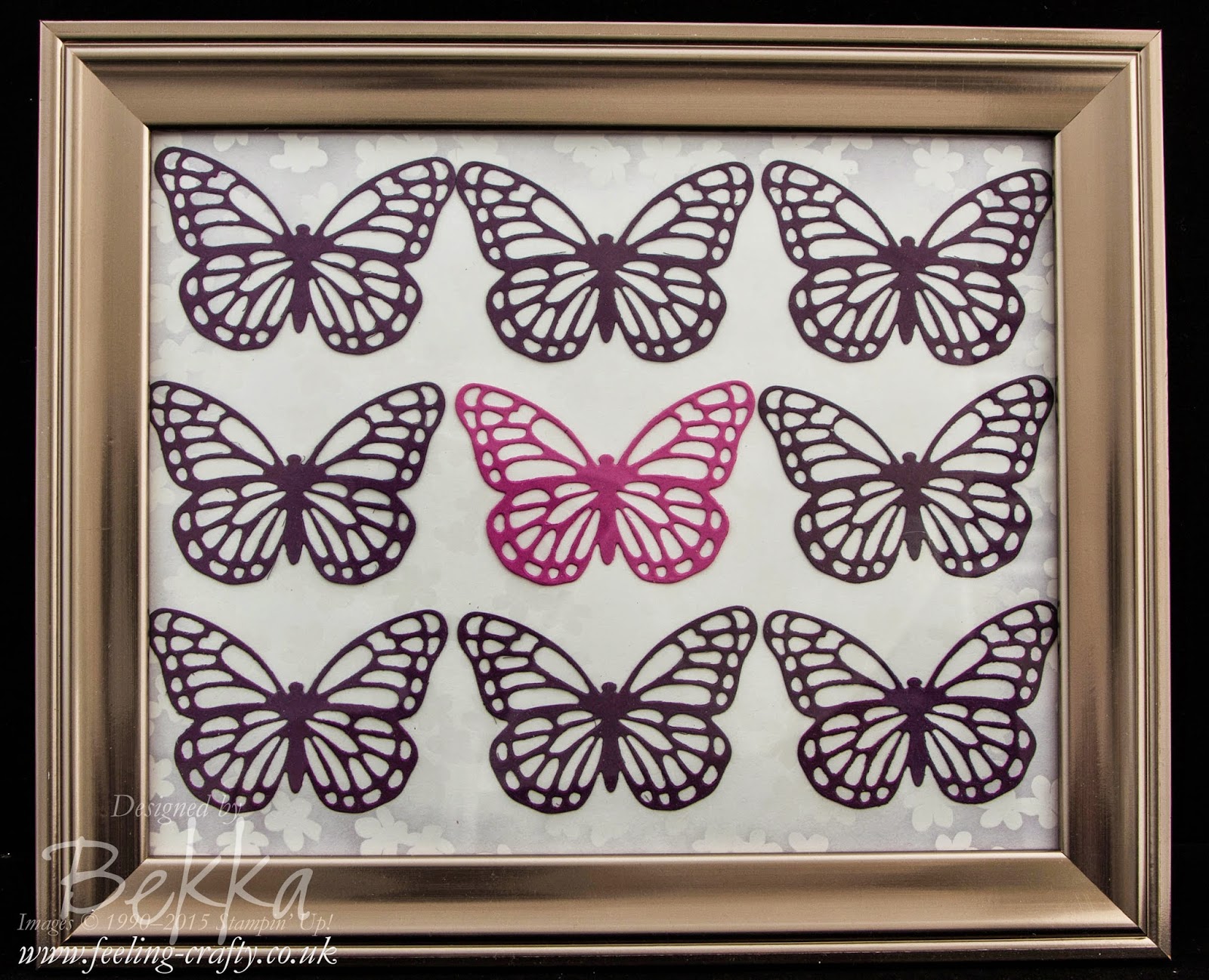 Beautiful Butterfly Picture Frame - find out about it here