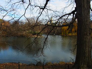 Día 6: 7 de Diciembre. Central Park y Gantry Park. - Navidad en Nueva York 2010 (20)