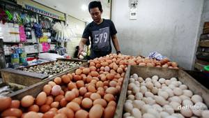 Makanan yang Mengandung Vitamin B1