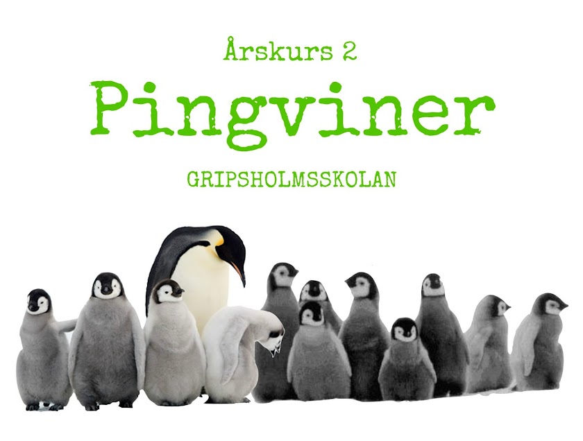 Pingvinerna på Gripsholmsskolan