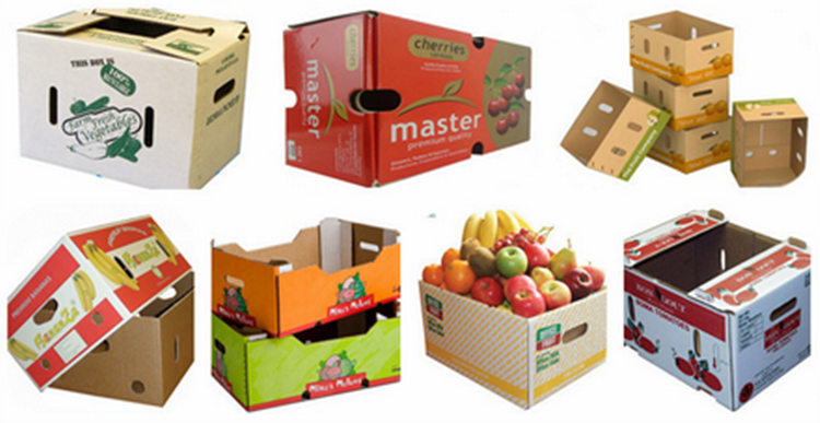 sutil Kakadu papi Embalajes para la exportación: cajas de cartón y cajas de madera | DIARIO  DEL EXPORTADOR