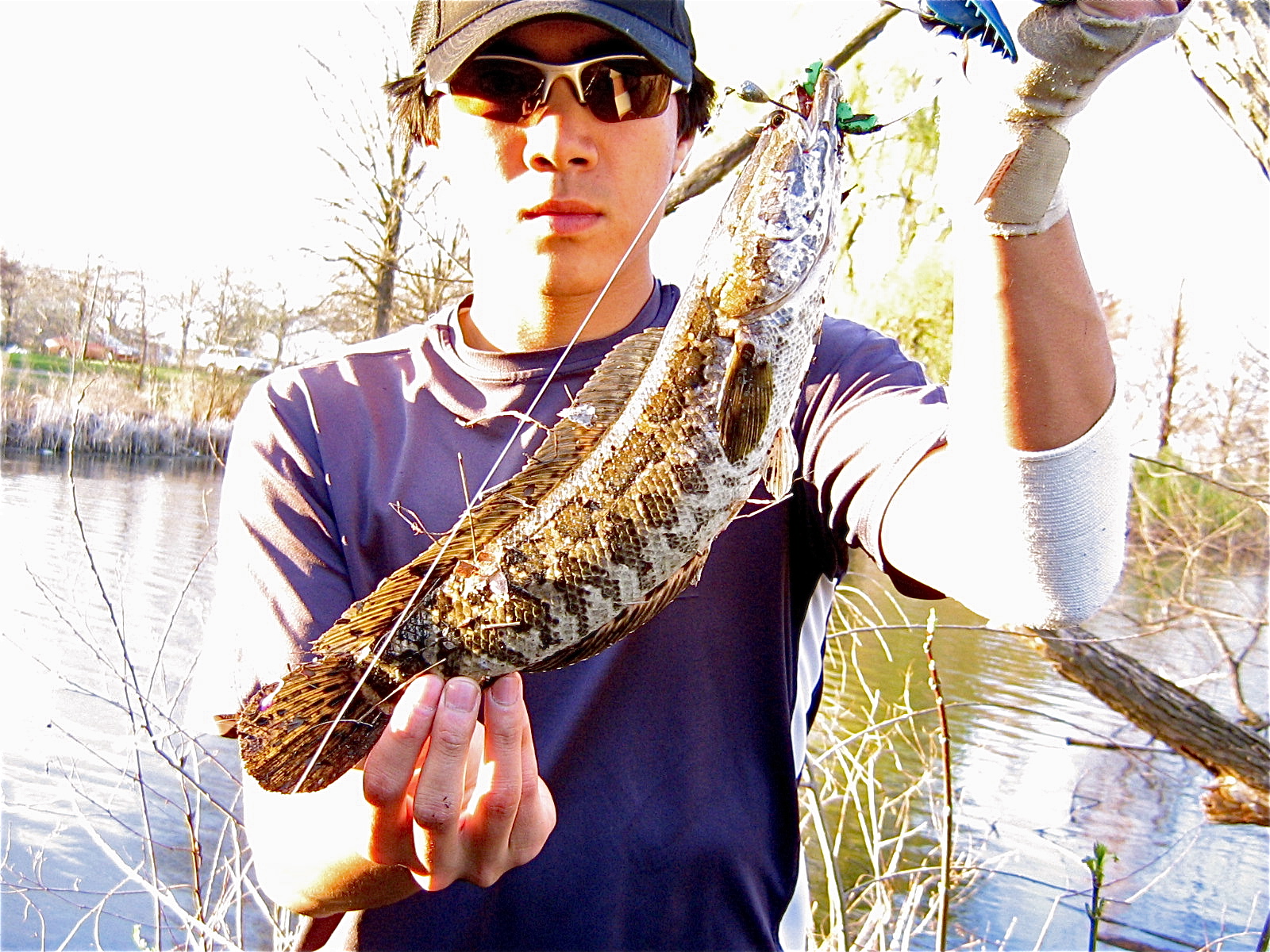 Extreme Philly Fishing: Season is open at the FDR Park - LMB and Snakeheads