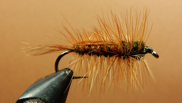halfback fly pattern