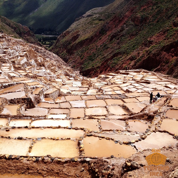 Minas de Sal de Maras Cuzco