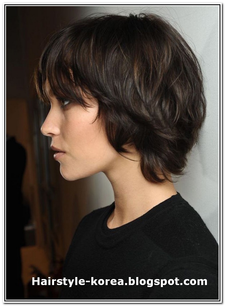 13 Best Popular Shag Haircuts And Hairstyles In 2017 Hairstyle Korea