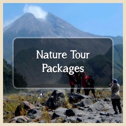 Nature tour yogyakarta Nature tour yogyakarta