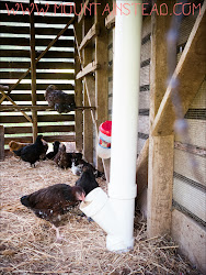 crib corn coop chicken renovation