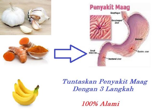 Maag лого. Maag вектор. Maag это бывший. Мааг магазин одежды. Maag это бывший.