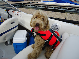 Sophie in her life jacket