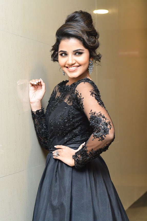 Anupama Parameswaran at Hello Guru Prema Kosame Pre release