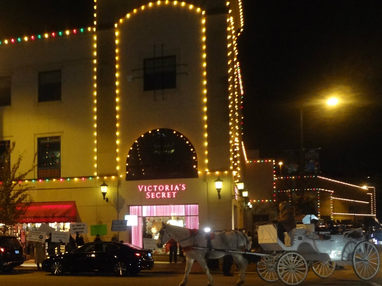 TKC MUST SEE!!! KANSAS CITY ANIMAL RIGHTS ACTIVISTS PROTEST ON THE