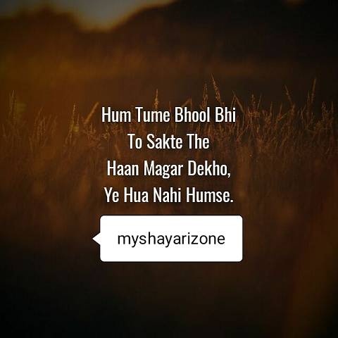 Tumko Naa Bhool Payenge Sensitive Breakup Shayari in Hindi Tumko Naa Bhool Payenge Sensitive Breakup Shayari Lines Whatsapp Image in Hindi