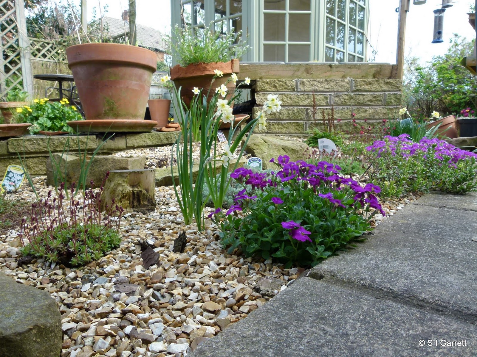 Our Plot at Green Lane Allotments The Pebble Garden springs to life
