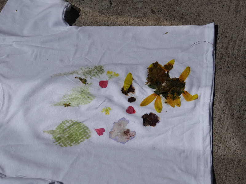 Busy Hands Blessed Hearts How to Make Pressed Flower Shirts