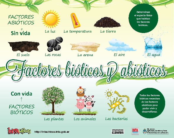 Componentes del Medio Ambiente