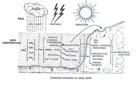 Oparin-haldane theory ppt image