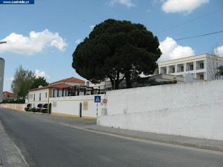 GERAL PHOTOS, BUILDINGS / Edificios (Fotografias Gerais), Castelo de Vide, Portugal GERAL PHOTOS, BUILDINGS / Edificios (Fotografias Gerais), Castelo de Vide, Portugal