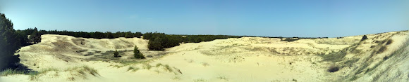 Національний природний парк «Олешківські піски»