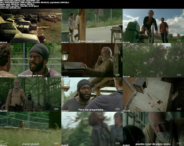 www.todo-pelicula.com--twd-4X03--_s.jpg
