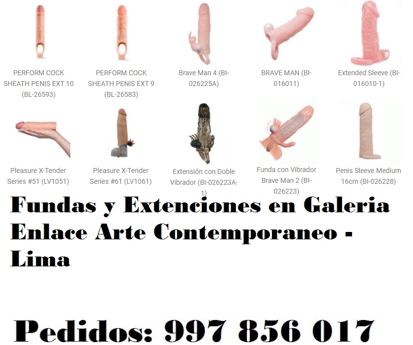 en Galeria Enlace Arte Contemporaneo - Lima