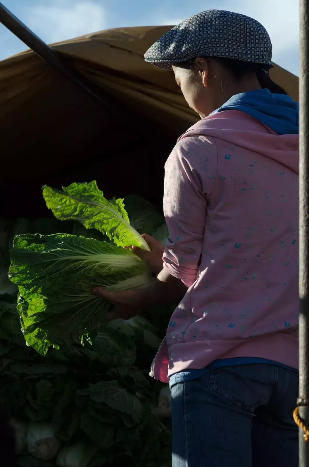Vegetable Worker Trading Post La Trinidad Benguet Cordillera Administrative Region Philippines