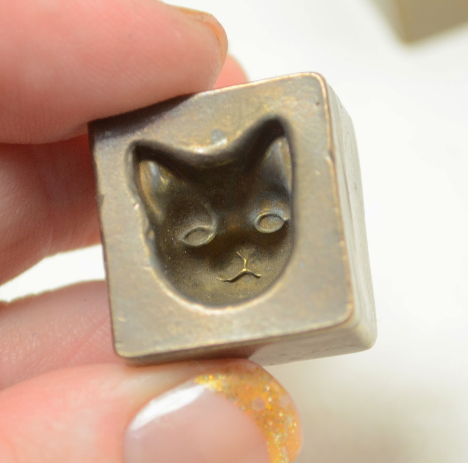 HWFD Cats with Pushed in Faces wallpaper background HD Wallapapers