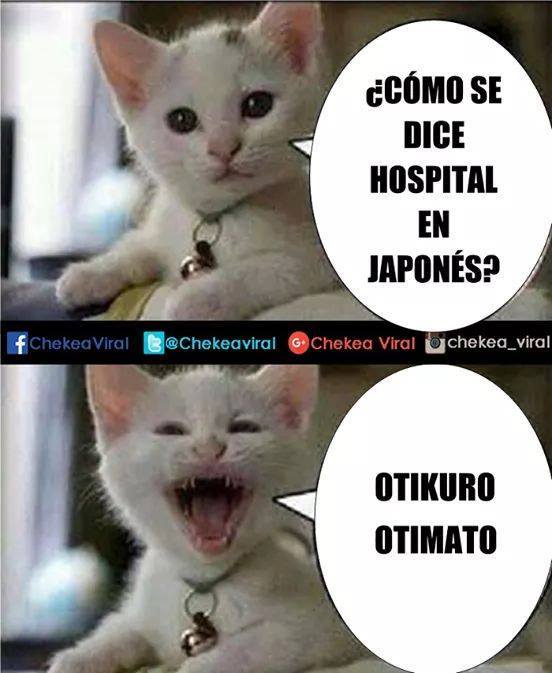 ¿Cómo se dice hospital en japonés? IMAGENES DE CHISTES TE HARAN REIR