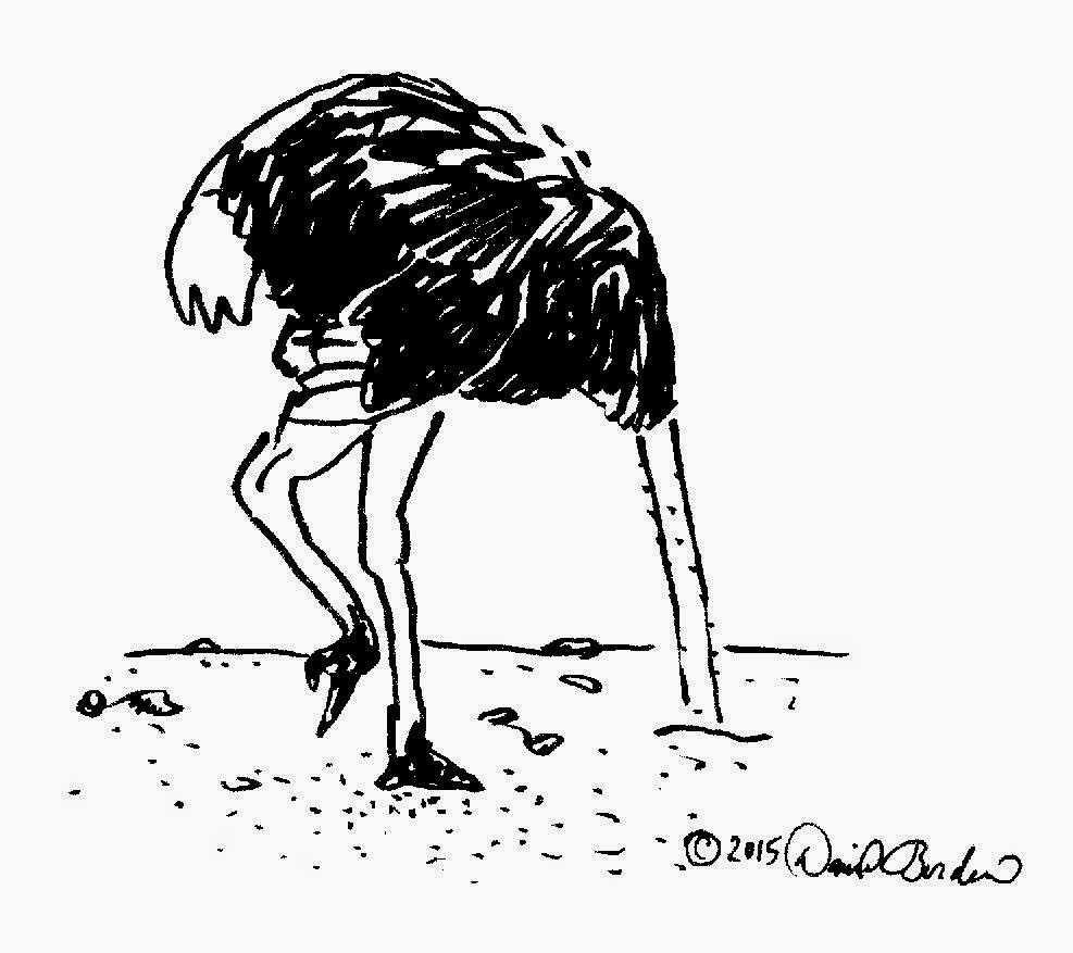 sketch of an ostrich hiding it's head in the sand by David Borden, (c) 2015.