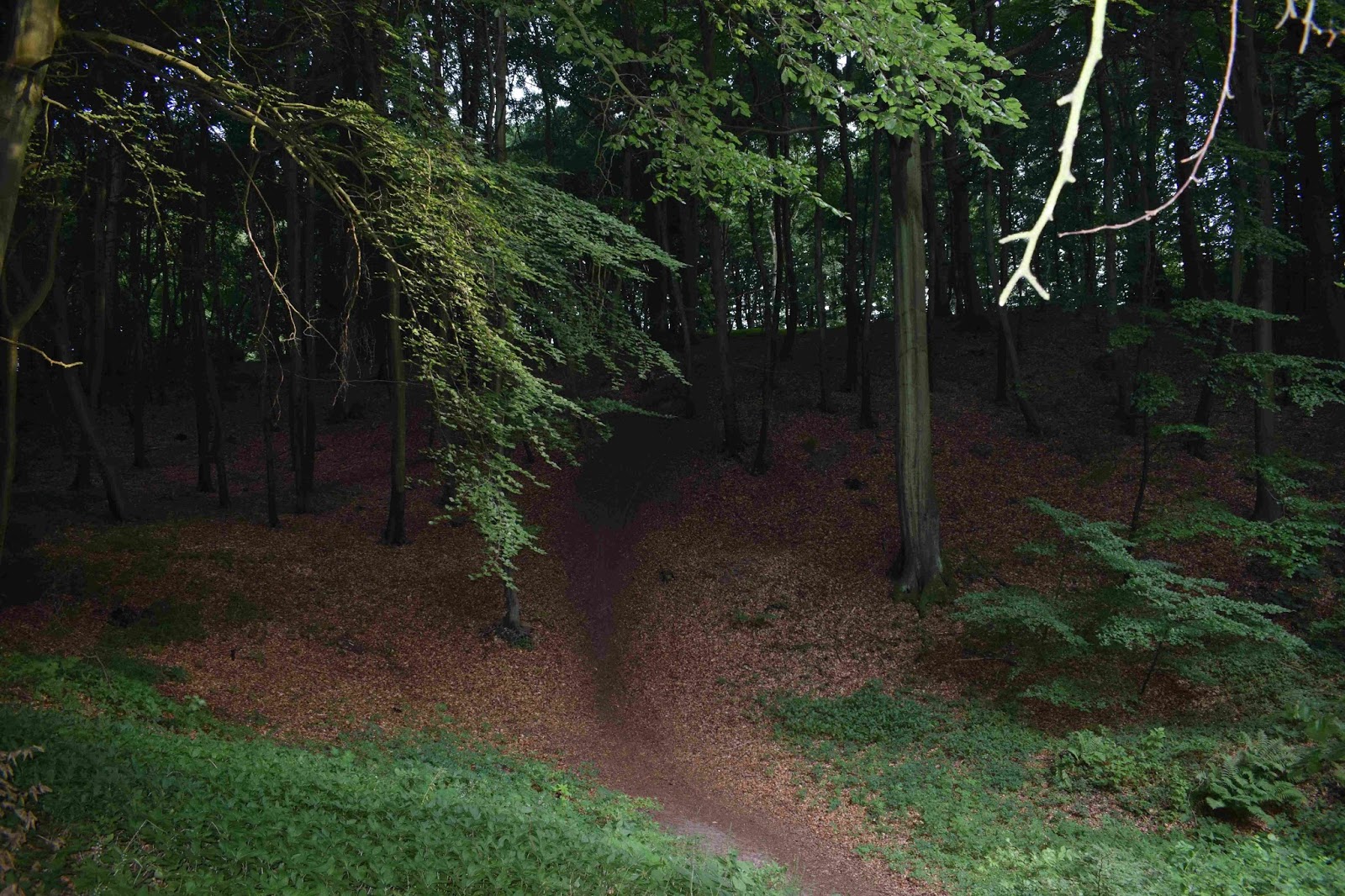 Rickardssons rosor & rabarber: danmark: natur, trädgård och lite ...