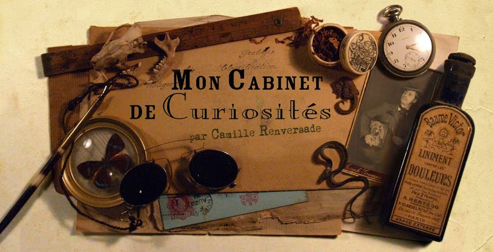 "Mon Cabinet de Curiosités" par Camille Renversade