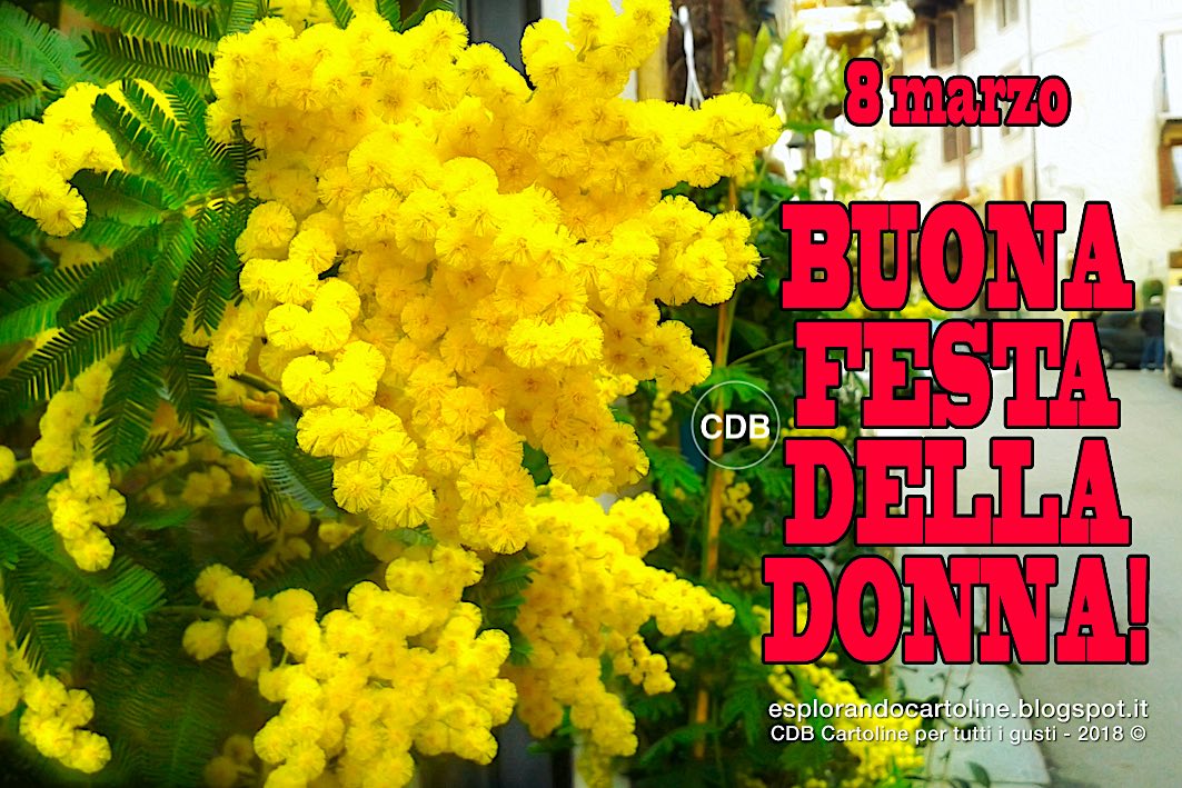 foto mimose da scaricare