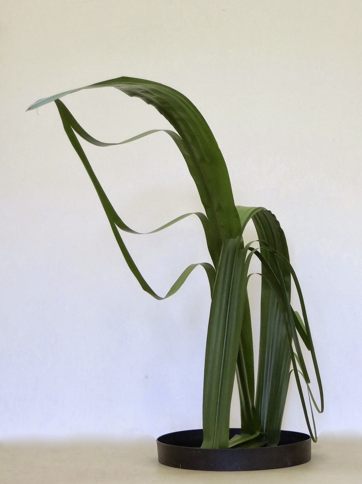 ROADSIDE IKEBANA VICTORIAN SOGETSU BRANCH