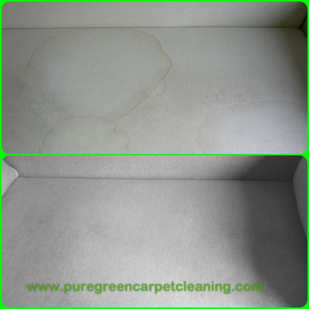 PureGreen Carpet Cleaning Upholstery Cleaning NYC Urine Stains
