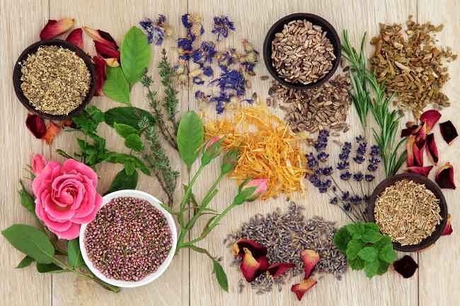 Cara Sederhana Membuat Obat Kuat Pria Secara Alami Cara Sederhana Membuat Obat Kuat Pria Secara Alami