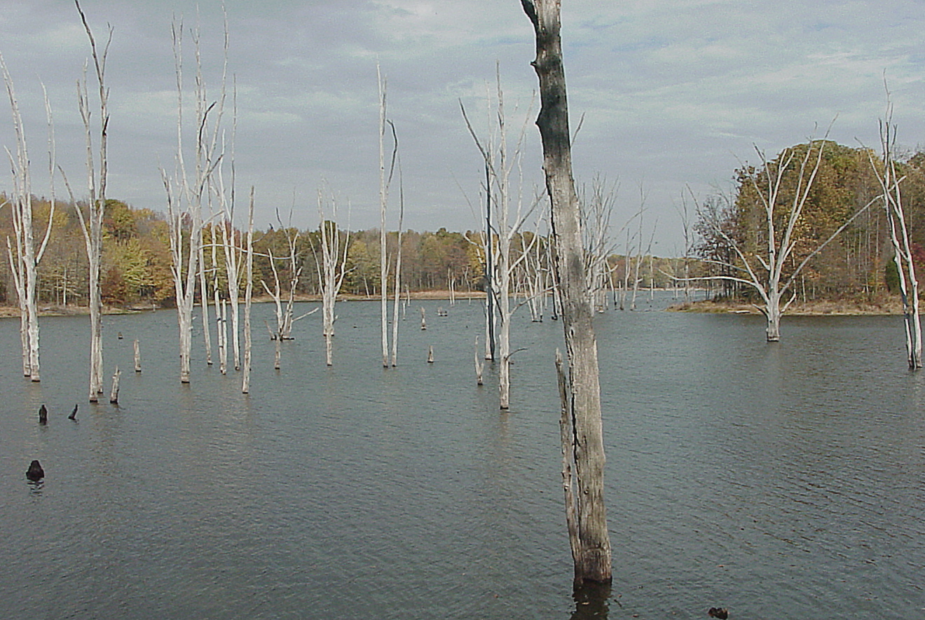 outdoorscribe Big Oaks National Wildlife Refuge now open near Madison