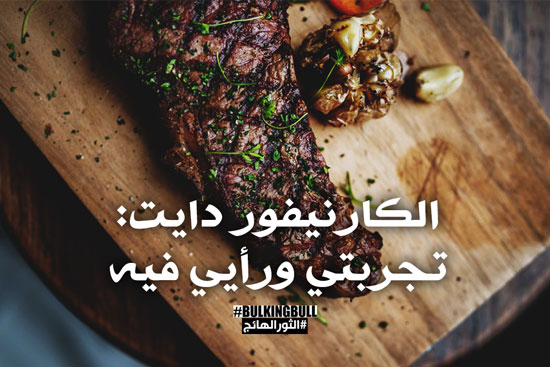 تجربتي مع الكارنيفور ورأيي فيه تجربتي مع الكارنيفور ورأيي فيه