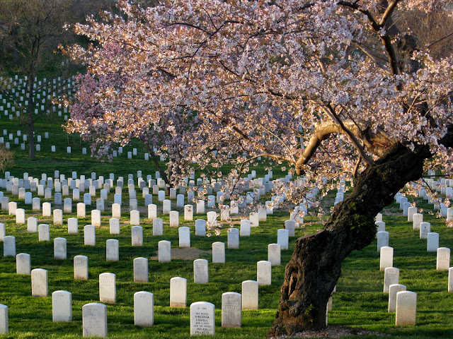 Ver o Cemitério de Arlington em Washington Ver o Cemitério de Arlington em Washington